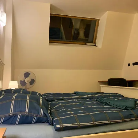 Fantastic 5 Bedroom Duplex In The Old Town * プラハ
